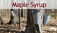 Maple Syrup