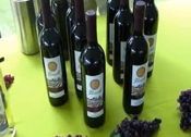 Savour Ottawa Harvest Table
