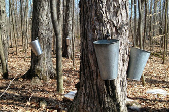 Proulx Sugarbush & Berry Farm