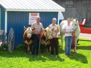 RGK Polled Herefords